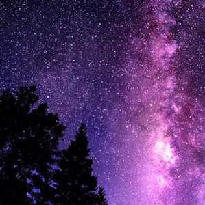 Meet your Posher, Erick